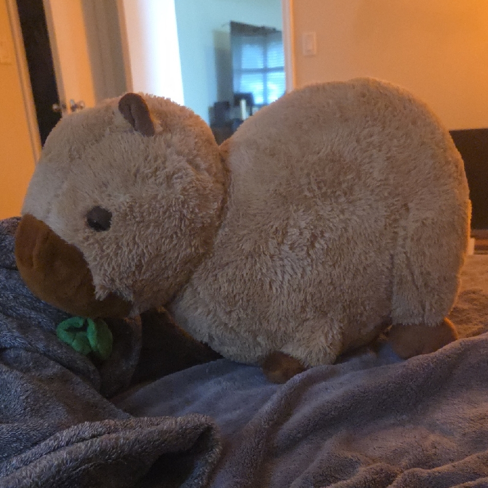 Plush Brown Capybara Toy for Small Pets